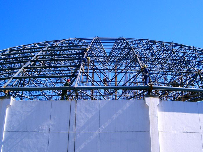 博尔塔拉蒙古自治州球形网架安装